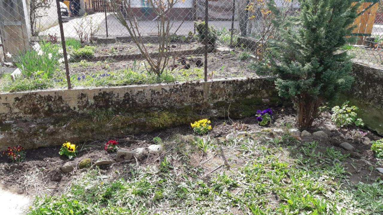 Vila Casa Mascia Cencenighe Exteriér fotografie